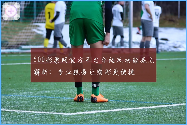 500彩票网官方平台介绍及功能亮点解析：专业服务让购彩更便捷